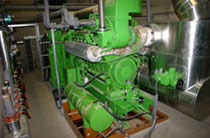 biomasna kogeneracija