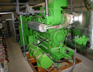 kogeneracija na lesno biomaso